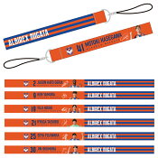 アルビレックス新潟