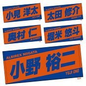 アルビレックス新潟