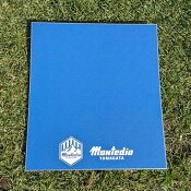 モンテディオ山形