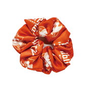 アルビレックス新潟