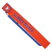 アルビレックス新潟