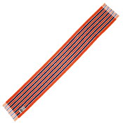 アルビレックス新潟