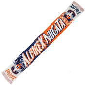 アルビレックス新潟