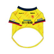 ギラヴァンツ北九州