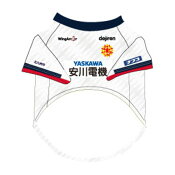 ギラヴァンツ北九州