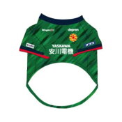 ギラヴァンツ北九州