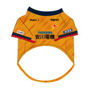 ギラヴァンツ北九州