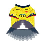 ギラヴァンツ北九州