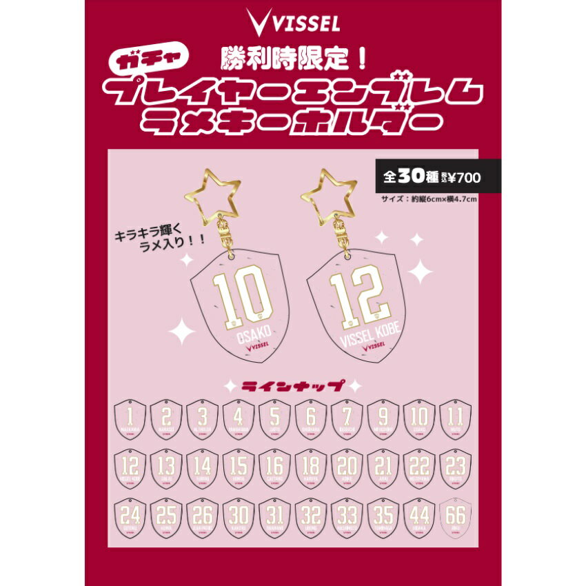 ヴィッセル神戸　J リーグDIVISION 1復帰シリアルナンバー入り ヴィッセル神戸 ナンバー｜【公式】Jリーグオンラインストア J