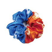 アルビレックス新潟