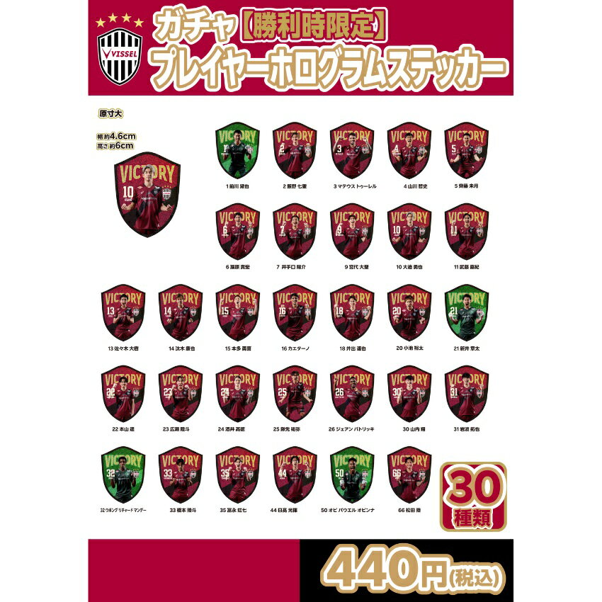 ヴィッセル神戸 ジェアンパトリッキ グッズまとめ売り ヴィッセル神戸 ジェアンパトリッキ グッズまとめ売り