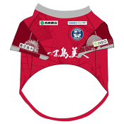 鹿児島ユナイテッドＦＣ