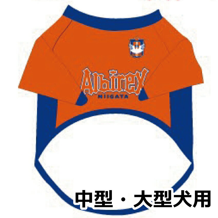楽天市場】セール！ AVIREX アビレックス ワッフル 長袖Tシャツ
