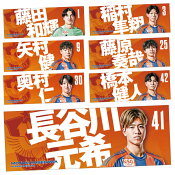 アルビレックス新潟