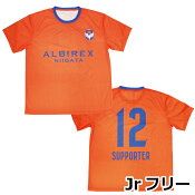 アルビレックス新潟