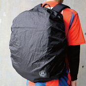 アルビレックス新潟