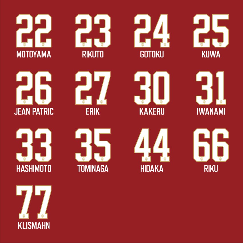 ヴィッセル神戸 2025【レプリカ】ユニフォーム（1st）｜【公式