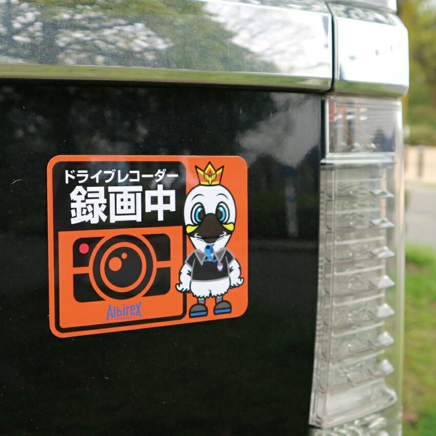 アルビレックス新潟 メッセージマグネット（新潟から来たてば