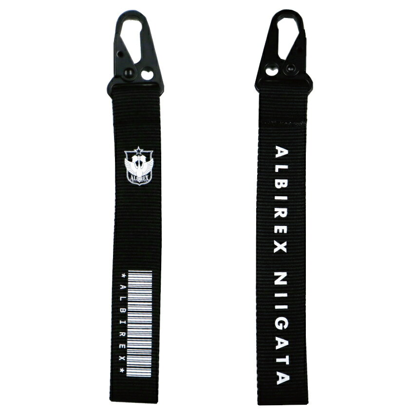 実使用？ アルビレックス新潟 J-Leaque ALBIREX NIIGATA GILTON