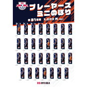 ＲＢ大宮アルディージャ