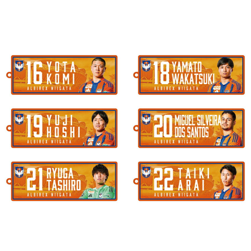 ✨激レア✨Jリーグノート アルビレックス新潟 プレーヤーズネームプレート｜【公式】J