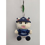 鹿児島ユナイテッドＦＣ