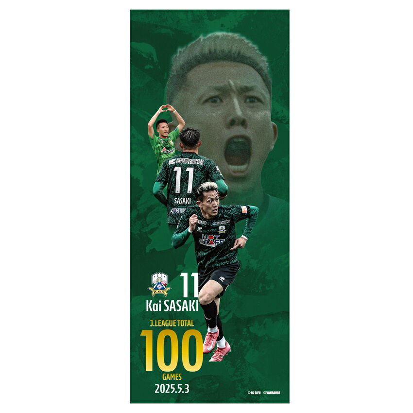 09年 FC岐阜 チーム配布カード 31枚コンプリートセット 09年 FC岐阜 チーム配布カード 31枚コンプリートセット