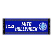 水戸ホーリーホック