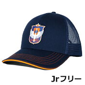 アルビレックス新潟