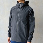 アルビレックス新潟