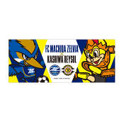 ＦＣ町田ゼルビア