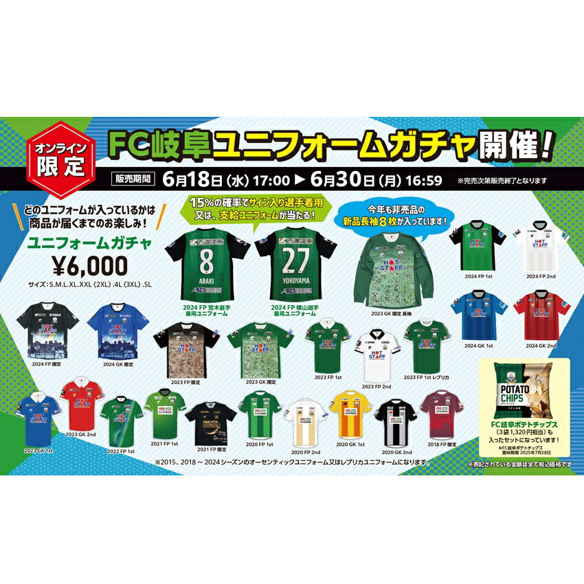 FC岐阜 ミニフラッグ｜【公式】Jリーグオンラインストア J
