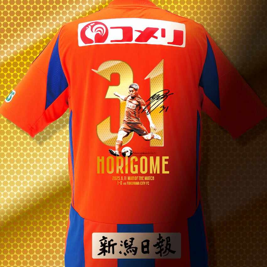 アルビレックス新潟 カールマイヤーブランケット（ハーフ