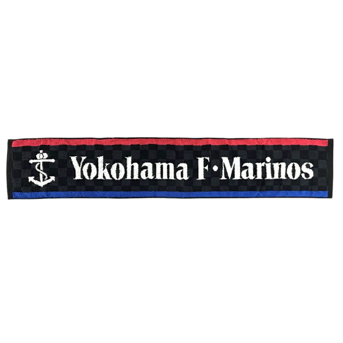 Jリーグインターナショナルシリーズ2024対戦記念 (横浜F