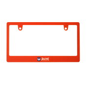 アルビレックス新潟