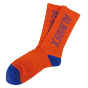 アルビレックス新潟