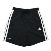 アルビレックス新潟