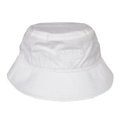 アルビレックス新潟