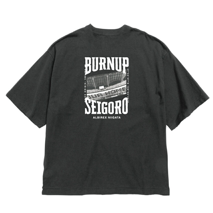 アルビレックス新潟 燃え上がれ清五郎 Tシャツ｜【公式】J