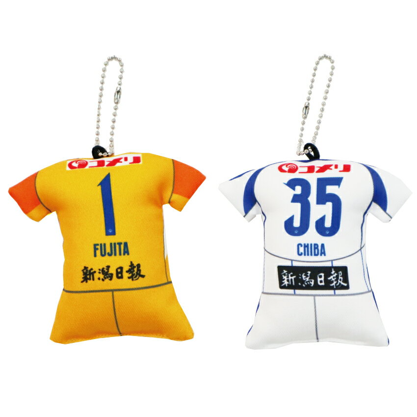 アルビレックス新潟J2リーグ優勝記念グッズ まもなく受付開始】『2022明治安田生命J2リーグ優勝記念グッズ