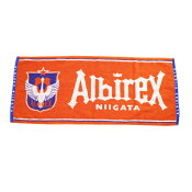 アルビレックス新潟