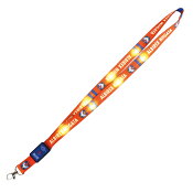 アルビレックス新潟