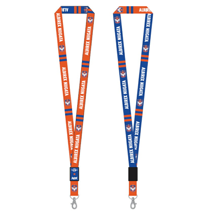 J8 ALBIREX NIIGATA ストラップヘッド 額装 アルビレックス新潟 プラネタネックピース｜【公式】Jリーグ