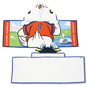 アルビレックス新潟