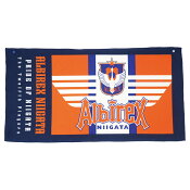 アルビレックス新潟