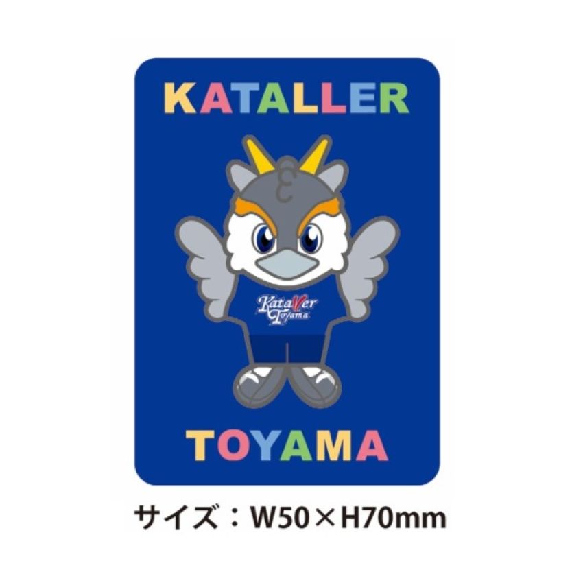 Ｊリーグカターレ富山選手支給品　　上ピステ下トレパンツ　2点セット　L ブルー Jリーグカターレ富山選手支給品 上ピステ下トレパンツ 2点