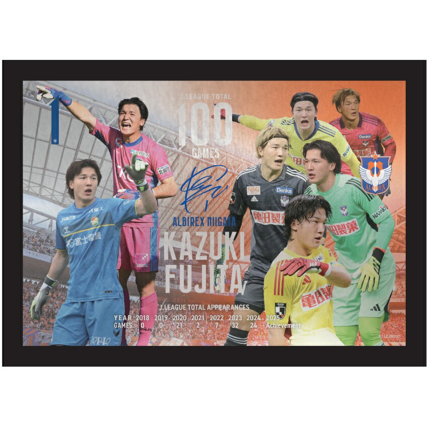 アルビレックス新潟ユニフォーム XLサイズ 30 JIN アルビレックス新潟ユニフォーム XLサイズ 30 JIN 生まれの
