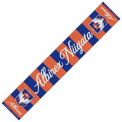 アルビレックス新潟