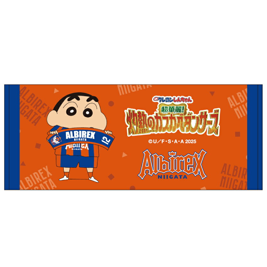 【新品・未開封】アルビレックス新潟 ルヴァンカップ三種リボンマグネットセット 9月4日（水）町田戦はグッズも大注目の一戦！新発売の商品たちを