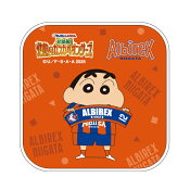 アルビレックス新潟